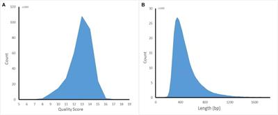Accurate Detection of HPV Integration Sites in Cervical Cancer Samples Using the Nanopore MinION Sequencer Without Error Correction